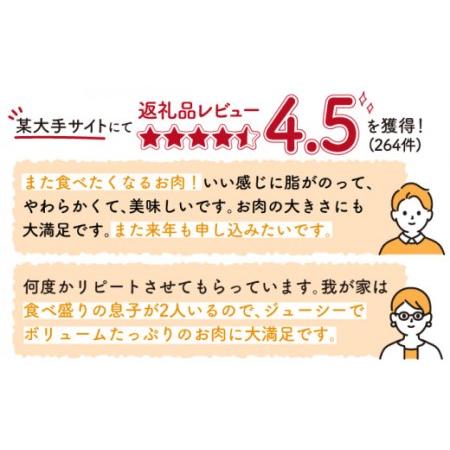 ふるさと納税  佐賀牛 A5 サーロイン ステーキ 600g (3枚切)[NAB040]  佐賀牛 牛肉 肉 佐賀 黒毛和牛 佐賀牛A5 佐賀.. 佐賀県嬉野市