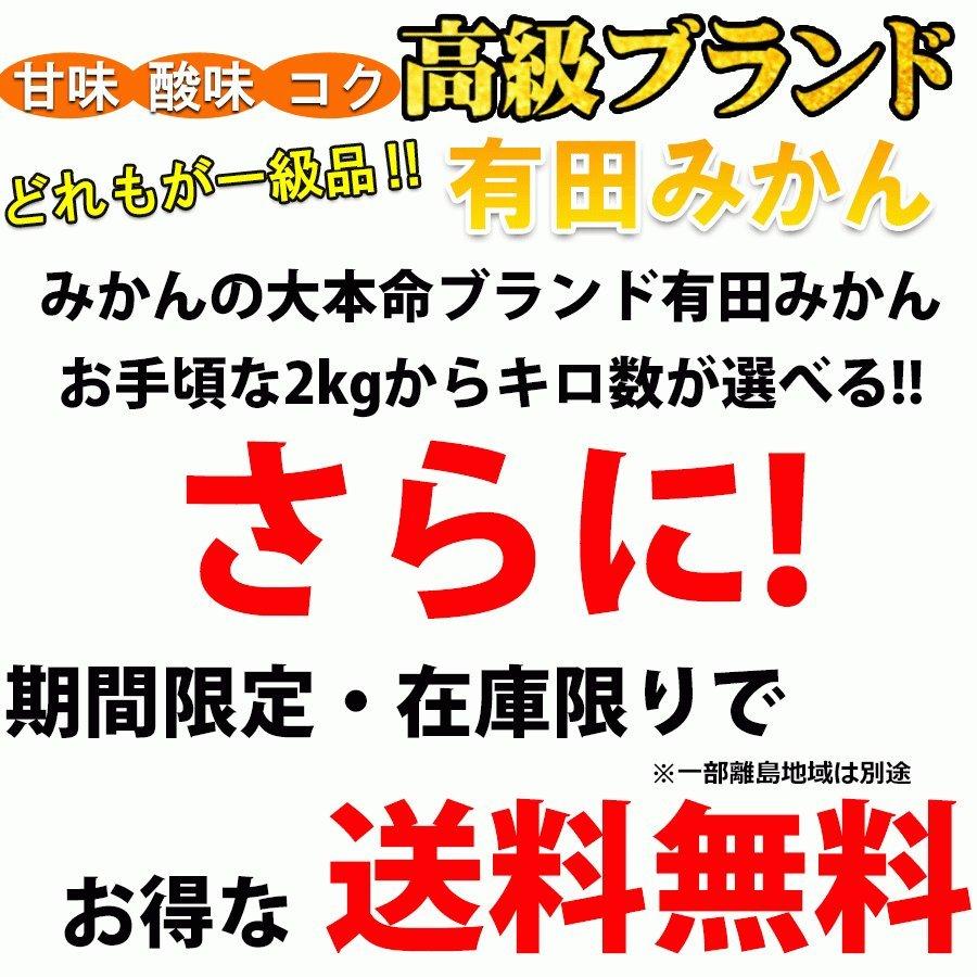 みかん 2kg~10kg 訳あり ブランド 和歌山 有田みかん ありだみかん 農家直送 ギフト お歳暮 温州みかん フルーツ 果物