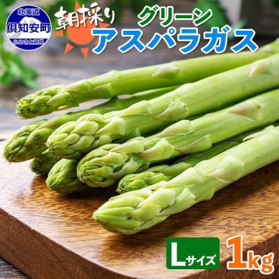 ふるさと納税 倶知安町 2024年 先行受付 北海道 アスパラガス グリーン(Lサイズ)約1kg 新鮮 産地直送 倶知安町