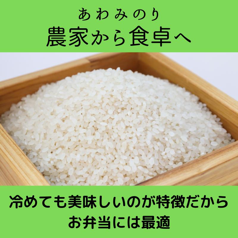 米5Kg 送料無料 特別栽培米 徳島県産 あわみのり 精米 令和5年産 新米