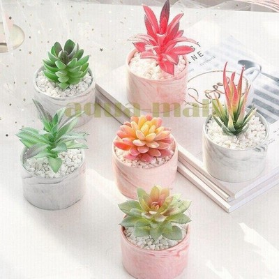 可愛い 偽 盆栽の通販 218件の検索結果 Lineショッピング