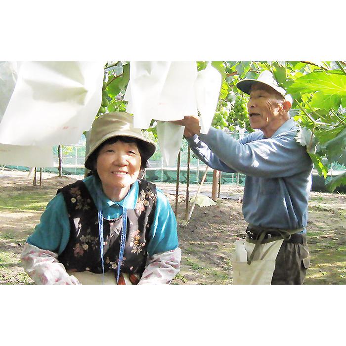 フード・アクション・ニッポンアワード2 入賞　ぶどう園が作ったドライフルーツ（一袋25g×２種類）×２セット