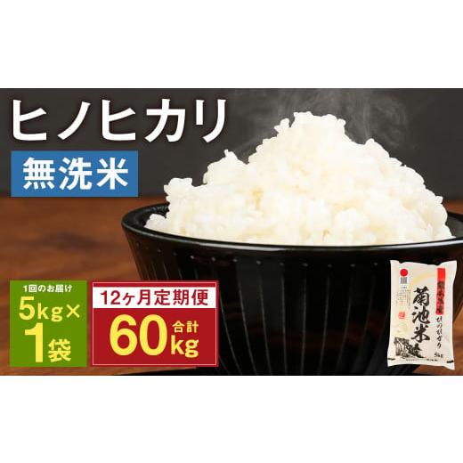 ふるさと納税 熊本県 菊池市 熊本県菊池産 ヒノヒカリ 無洗米 計60kg（5kg×12回）精米 お米 白米