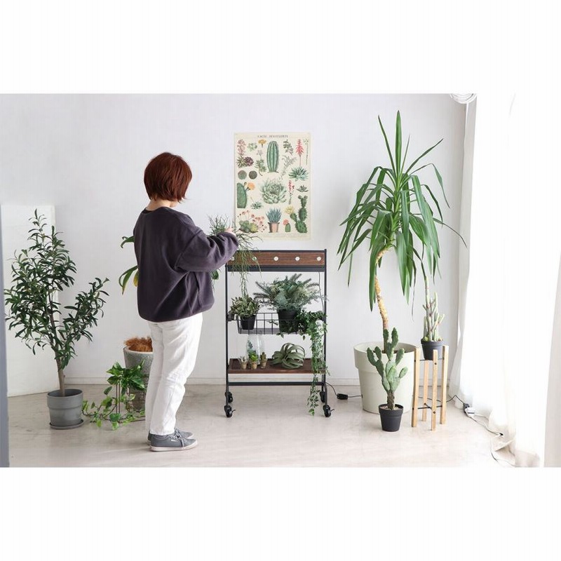 植物 棚 2段 植物用棚 植物棚 プランターワゴン インテリア
