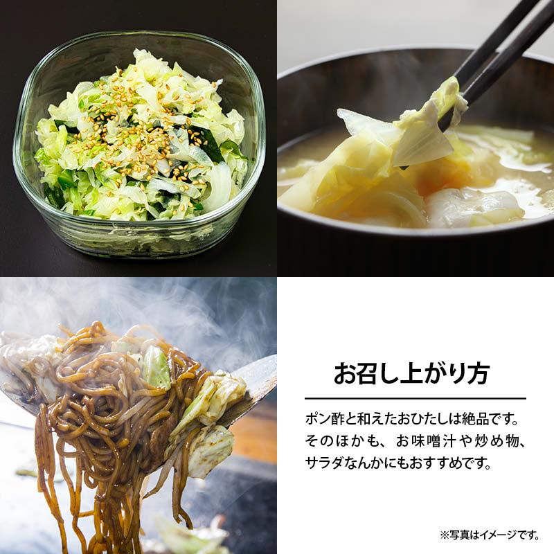 国産 乾燥キャベツ 250g 無添加 ベジタブル 食物繊維 ドライ野菜 みそ汁 味噌汁 スープの具 インスタント ラーメン カップ麺 時短調理 保存食