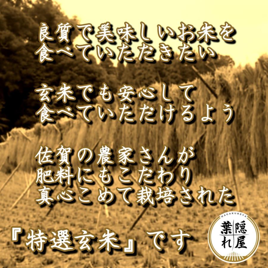 お米　５kg　さがびより　玄米　　特A　産地直送　お米マイスター厳選　佐賀県産　米　　特選玄米　有機肥料