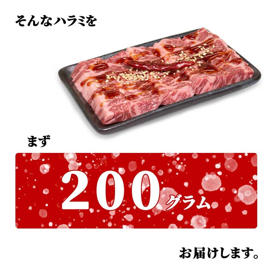 お歳暮 御歳暮 肉 焼肉 牛 ハラミ サガリ 牛ホルモン 200g 250g 冷凍 プライム プレゼント ギフト 贈り物