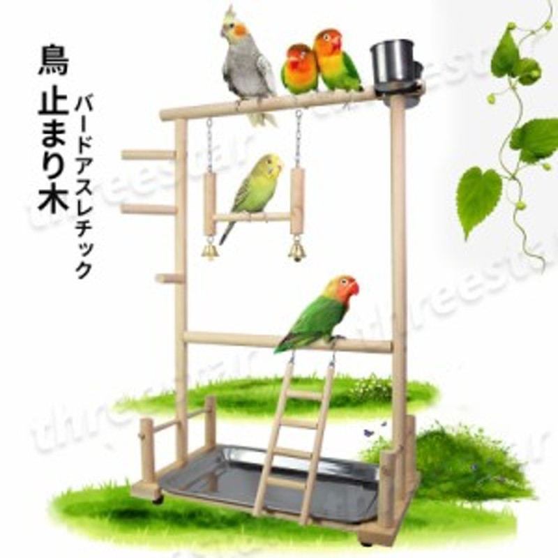 鳥インコ止まり木 流木バードアスレチック 卓上サイズバードジム - 鳥用品