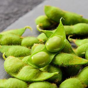 冷凍 特選 だだちゃ豆（300g×1袋）日本海産塩付 枝豆 茶豆 山形 鶴岡産