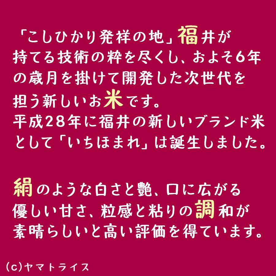 福井県産 いちほまれ 白米 5kg 令和4年産