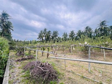 長治大路邊農地*專約*｜屏東縣長治鄉振興路