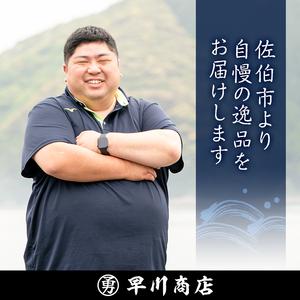 ふるさと納税 早川の生すりみセット (合計24枚・2種×各12枚) すりみ すり身 エソ アジ 鯵 魚 魚介 おつまみ おかず 弁当 惣菜 セット 大分.. 大分県佐伯市