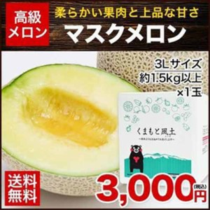 マスクメロン 九州産 1玉 秀品 3Lサイズ1玉約1.5kg以上 メロン ギフト 高級メロン 7-14営業以内発送予定(土日祝除く)