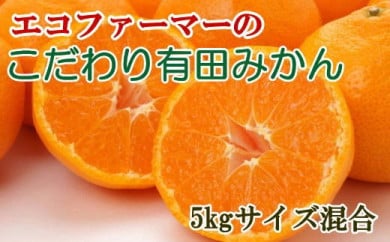 エコファーマーのこだわり有田みかん5kg(サイズ混合)※2023年11月中旬～2024年1月中旬頃に順次発送予定