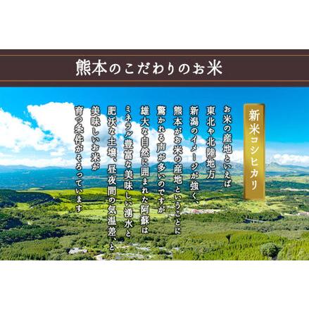 ふるさと納税 令和5年産 阿蘇のお米 コシヒカリ10kg 1袋 玄米 熊本県阿蘇市