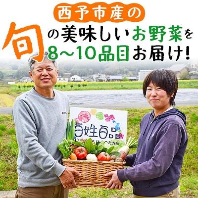 ふるさと納税 西予市 新鮮野菜の詰め合わせ