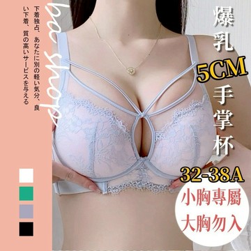 【BAshop】台灣現貨🌹小胸必推款－3.5CM加厚手掌杯 集中內衣 線條性感內衣 小胸內衣蕾絲內衣豐胸內衣#918