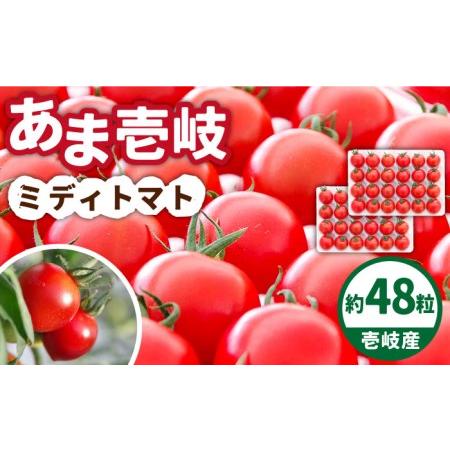 ふるさと納税 あま壱岐 ミディトマト 約48粒 《壱岐市》 トマト 野菜 [JAE009] 10000 10000円 1万円 長崎県壱岐市