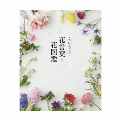 単行本 宇田川佳子 ちいさな花言葉 花図鑑 通販 Lineポイント最大get Lineショッピング