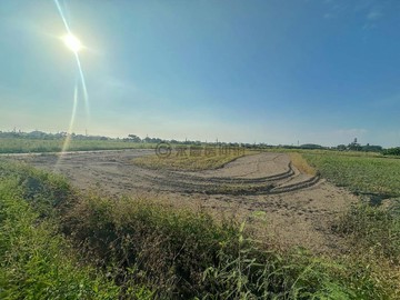 【台南.佳里.延平段】雙面臨路｜地勢平坦農地｜台南市佳里區延平段