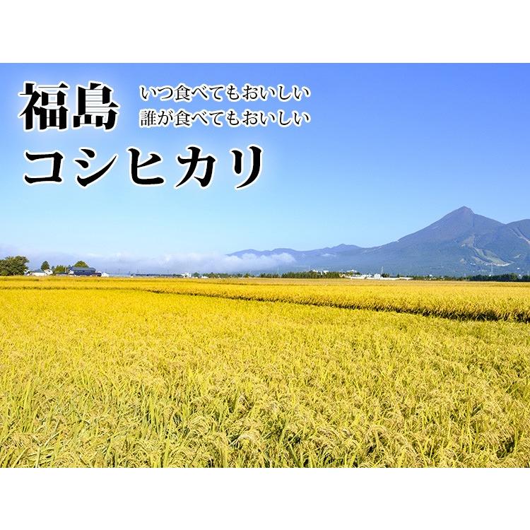 新米 お米 5kg 送料別 白米 コシヒカリ 福島県産 令和5年産 お米 5キロ 食品