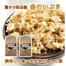 山陽小野田市産　美味しく食べる玄米2kg×2袋