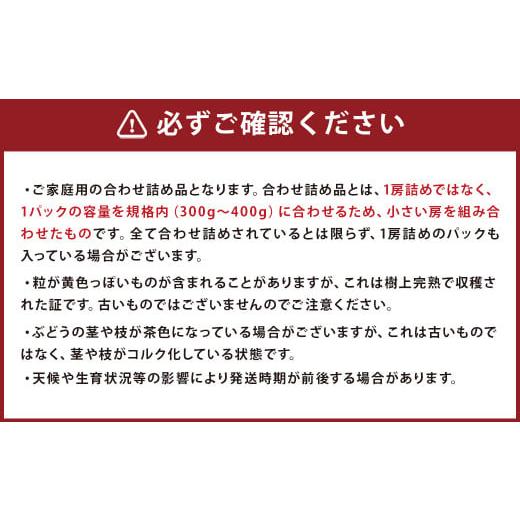 ふるさと納税 長崎県 時津町  訳あり ご家庭用 シャインマスカット 3パック 約1kg ぶどう