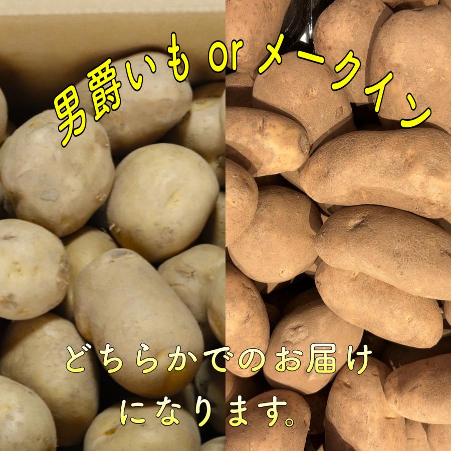 ジャガイモ 玉ねぎ 人参 じゃがいも 玉ねぎじゃがいも人参セット 計10ｋｇ 芋玉人参セット 野菜セット 野菜 メークイン 男爵いも