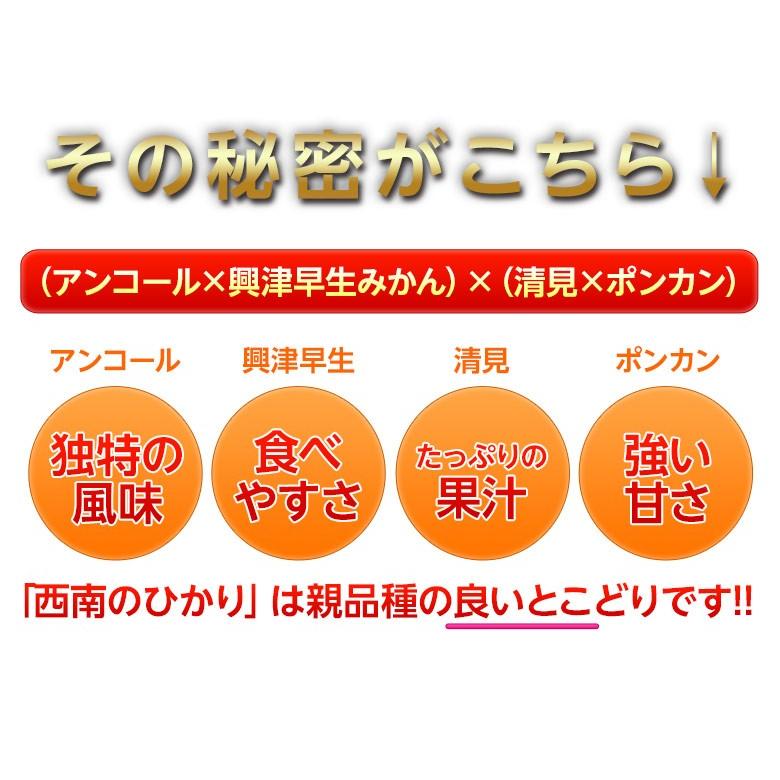 訳あり品 『西南のひかり』 香川県産 柑橘 約5kg S〜2Lサイズ ※常温 送料無料