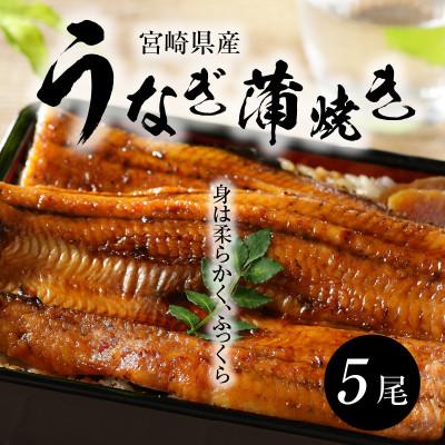 ふるさと納税 木城町 宮崎県産うなぎ(蒲焼き)5尾セット