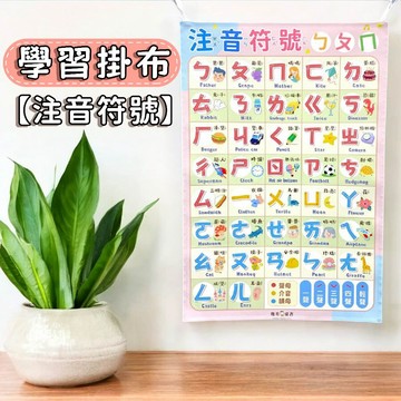 【手上拿書】 注音掛布 ㄅㄆㄇ掛布 注音掛圖 認知啟蒙 學前掛布 啟蒙教具 學習教具  注音學習 兒童掛布 掛圖
