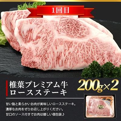 ふるさと納税 椎葉村 総重量800g!椎葉プレミアム牛ステーキ定期便≪サーロインステーキ・ロースステーキ≫