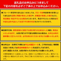 青秀以上 紀州有田産 はるみ 約5kg（Lサイズ）《2024年1月下旬-3月上旬頃より順次出荷》和歌山県 日高川町 フルーツ 果物 はるみ