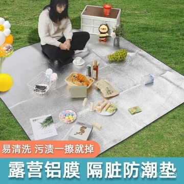 🌏在臺出貨🌏便攜鋁膜戶外防潮墊露營帳篷隔潮睡墊加厚公園沙灘郊遊野餐墊超厚 U3MP
