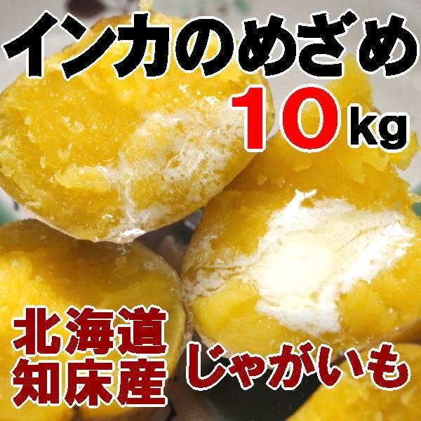 インカのめざめ 10kg 新じゃがいも 北海道産 ジャガイモ 送料無料