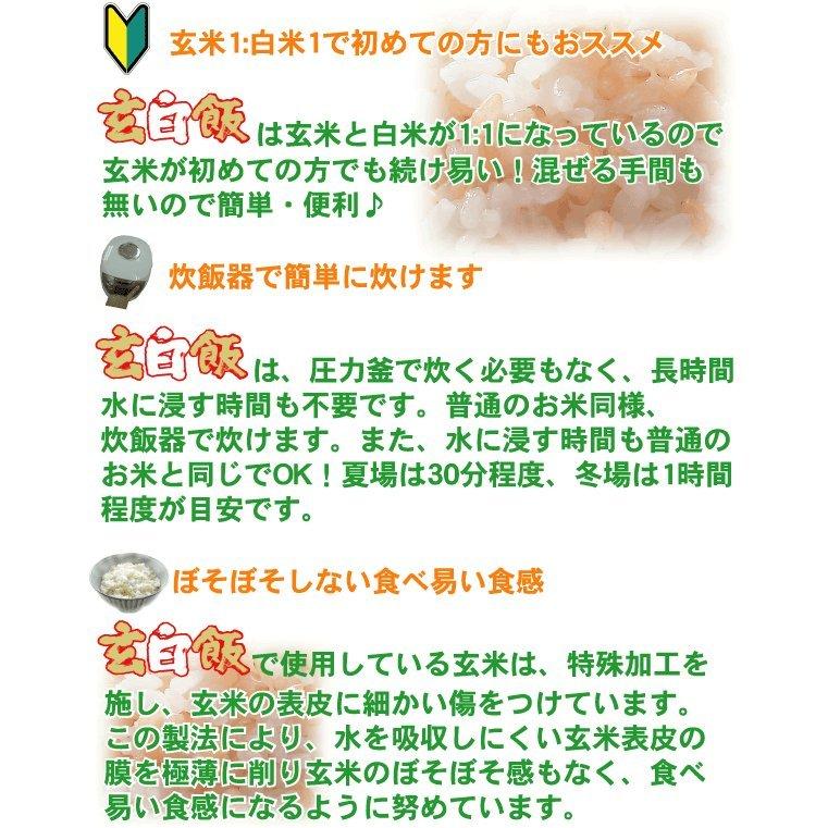 新米 令和5年産 無洗米 5kg×2 玄米 玄白飯 ひとめぼれ 10kg 送料無料 (玄米と白米を1:1でブレンド)（SL）