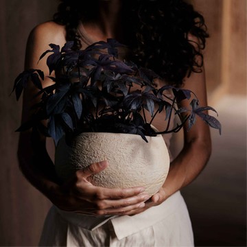 Audo Plantas Planters 花盆 - H17