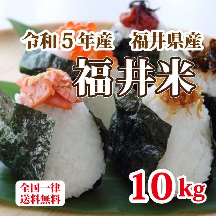 福井米 令和５年産 福井県産米10割 10kg 白米 安い 10kg×1 ブレンド米 生活応援米 送料無料