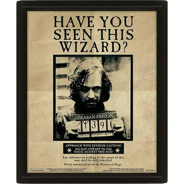 PYRAMID INTERNATIONAL 哈利波特/天狼星通緝令 3D海報含框  黑色  1個  36 x 24