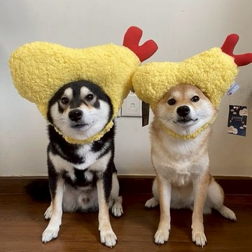 【JollyPet】Kashima 天婦羅炸蝦寵物帽 狗帽子 狗頭套 貓狗變裝首選 寵物萬聖節 舒適透氣材質 拍照必備 蝦頭套