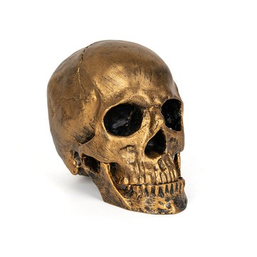 ?快速出貨? 附發票 醫學頭骨模型樹脂骷髏萬圣節道具骷顱頭居家擺件仿古銅動物頭骨