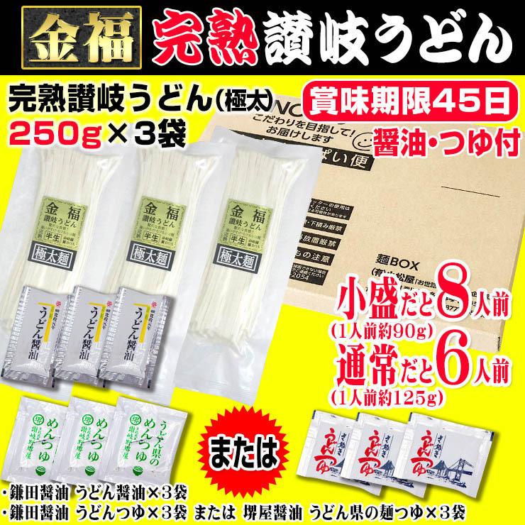 20時間熟成  半生 極太 讃岐うどん つゆ付きセット 便利な個包装 750g 送料無料 最安値挑戦 得トクセール 特産品