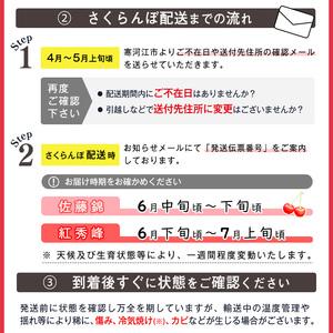 ふるさと納税 令和6年産 さくらんぼ「 佐藤錦 」600g (300g×2パック) 秀品 Lサイズ以上 2024年産 山形県産 山形産 【2024年6月中旬頃〜下.. 山形県寒河江市