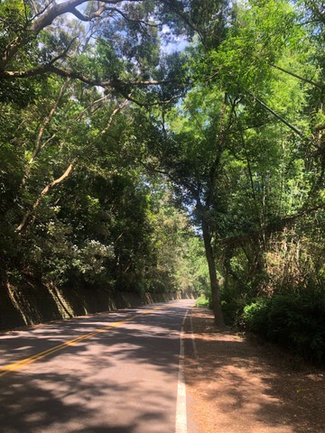 綠色觀光景點公路139乙線️鄉村乙種建地｜南投縣名間鄉新廍下段