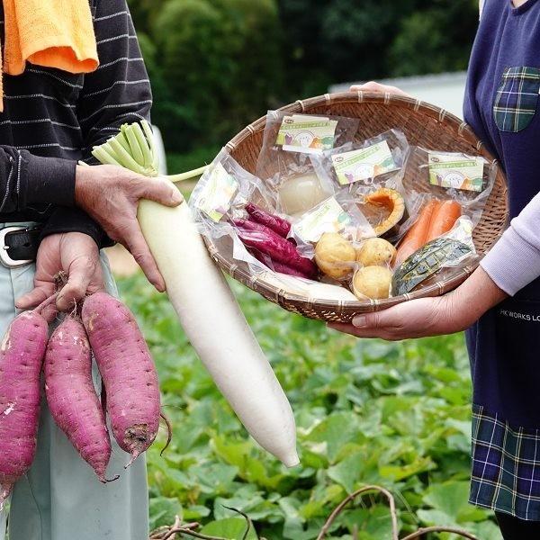 まるゆで野菜 詰め合わせ 6種類 添加物不使用  だいこん 人参 たまねぎ じゃがいも さつまいも かぼちゃ 離乳食におすすめ