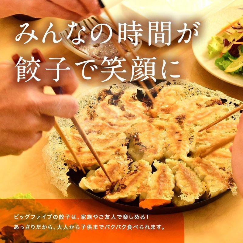 餃子 お取り寄せ 冷凍餃子 お取り寄せ 生餃子 ぎょうざ ちゃこばあちゃんの黒豚入り生餃子セット 10パック（うんまか生餃子5パック・しそ生