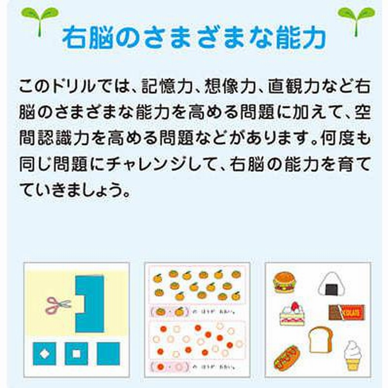 七田式 知力ドリル 2歳 3歳 みぎのう プリント 子供 幼児 知育 教育 勉強 学習 右脳 左脳 通販 Lineポイント最大get Lineショッピング