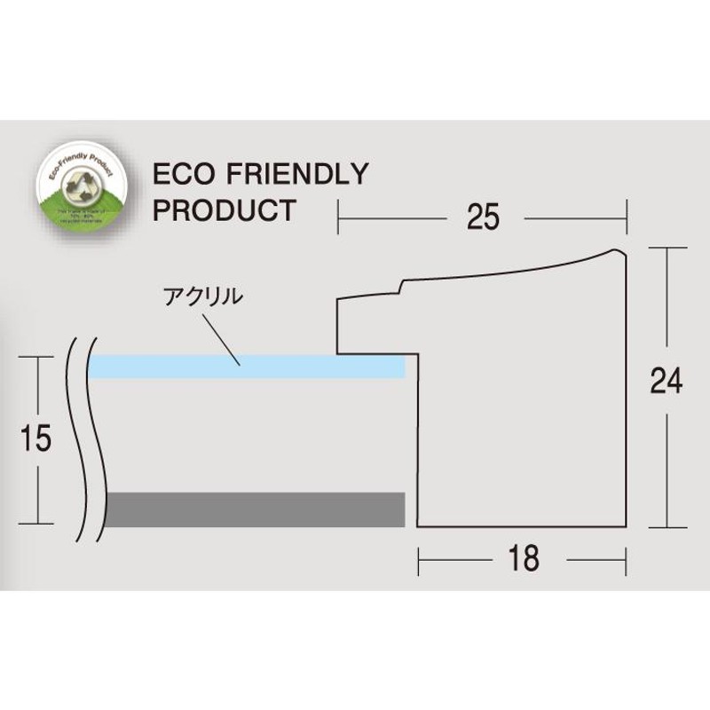 デッサン用額縁 アクリル SF251 インチ ブラウン | LINEショッピング
