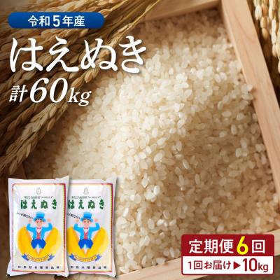 ふるさと納税 河北町 ※2024年3月後半スタート※はえぬき 60kg定期便(10kg×6回)山形県産