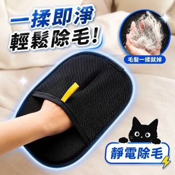 『現貨秒發』靜電梳毛除毛雙面手套 按摩手套 寵手套 寵物除毛 貓毛梳子 梳毛手套 寵物梳毛